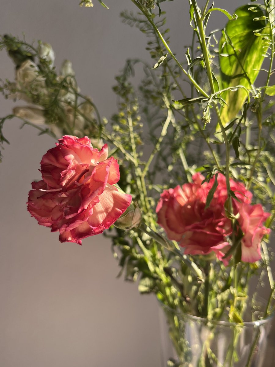 مُنىٰ أحمد tweet media