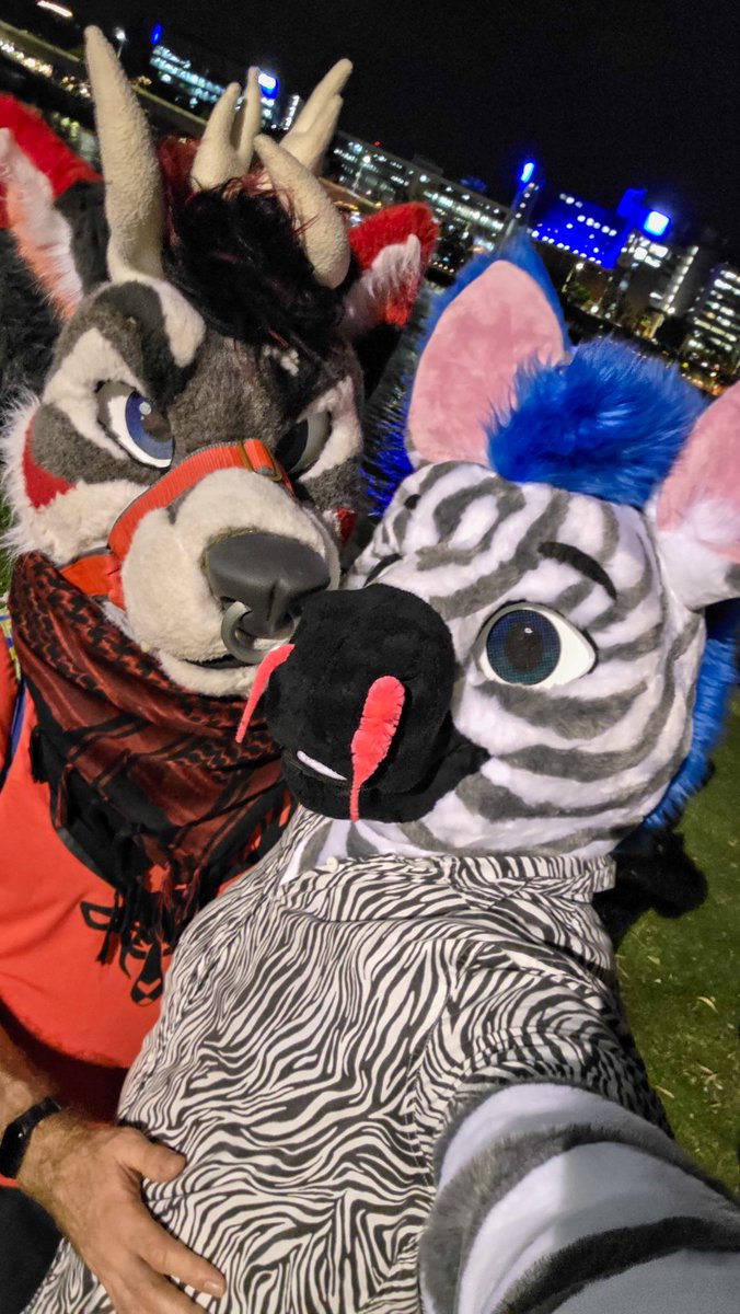 PupStripes's tweet photo. Fighting the #FurDU PCD at #SBFM 🥰 https://t.co/LuWOAKyYeW