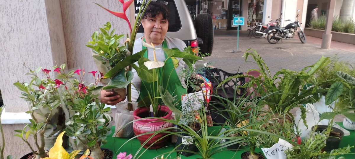 DCEAMAG's tweet image. AHORA...
Buenos días! Ya estamos en el Paseo 1.811 de Fernando de la Mora hasta agotar stock! Productos frescos de la finca a la mesa! Participan 5 organizaciones de Central y Bajo Chaco que benefician a 115 familias productoras #Mag Paraguay🇵🇾 #Carlos Giménez🇵🇾 #LoNuestroPrimero