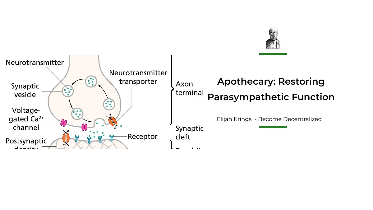 Elijahkrings's tweet photo. Found this one in my vault &amp; just released it

This one vitamin restores parasympathetic function:

https://t.co/Lhs9ThAhke 

Give it a read if you suffer from:

- Long Covid
- Digestive Issues
- POTS/ Dysautonomia
- Cognitive Impairments
- Neurodegenerative Diseases https://t.co/9fkJ1iha5Q