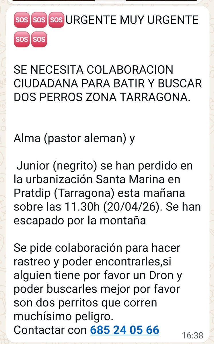 VidasSos's tweet image. 📢📢📢 GENTE DE #TARRAGONA: SE PIDE COLABORACIÓN CIUDADANA PARA BATIR y BUSCAR  A #alma y #junior .
¿Alguien tiene un #dron?

Perdidos en urbanización #SantaMarina (#Pratdip, #Tarragona) 
🆘🆘Muy urgente 🆘🆘 #UltimaHora