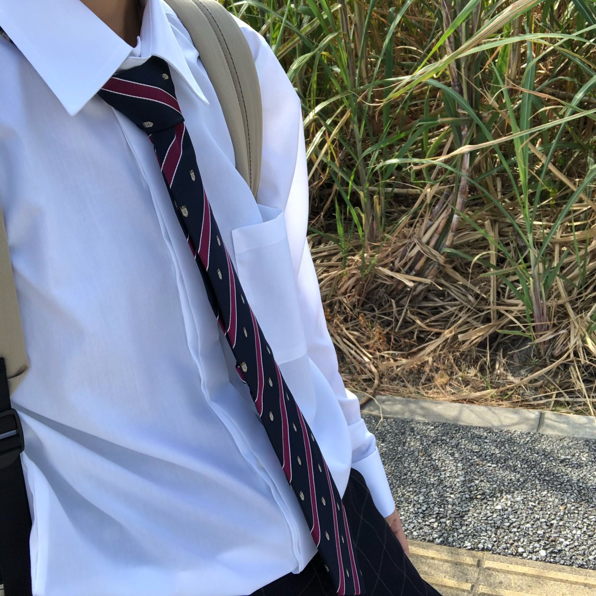 あずま しう tweet media