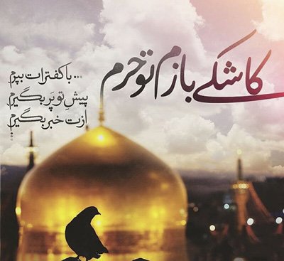 دل من گم شده گر پیدا شد
بسپارید امانات رضا
واگر ازتپش افتاد دلم 
ببریدش به ملاقات رضا
ازرضاخواسته بودم شاید
بگذارد که غلامش بشوم
همه گفتندمحال است ولی 
دلخوشم من به محالات رضا
#ایران_امام_رضا
#هشتمین_نور
