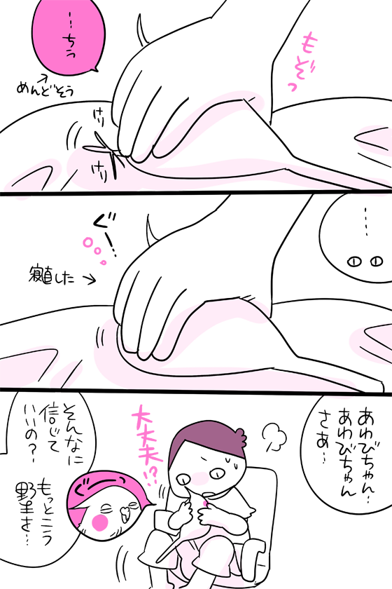 dollchka's tweet photo. 外で見る鳥の人たちは機敏で用心深くてほとんど触れないけど
家に居る鳥っこのこの警戒心のなさというか…ｗ信頼されすぎてて、改心するモンスターの気持ちになるよ、いつもｗ
お前食べちゃうぞ出来る大きさなのにな、我らｗ https://t.co/6AtaKZ6hy7