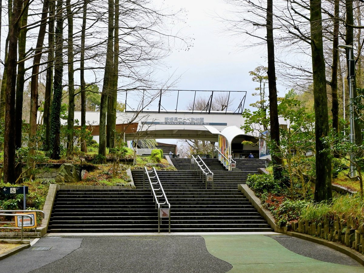 きっこ tweet media