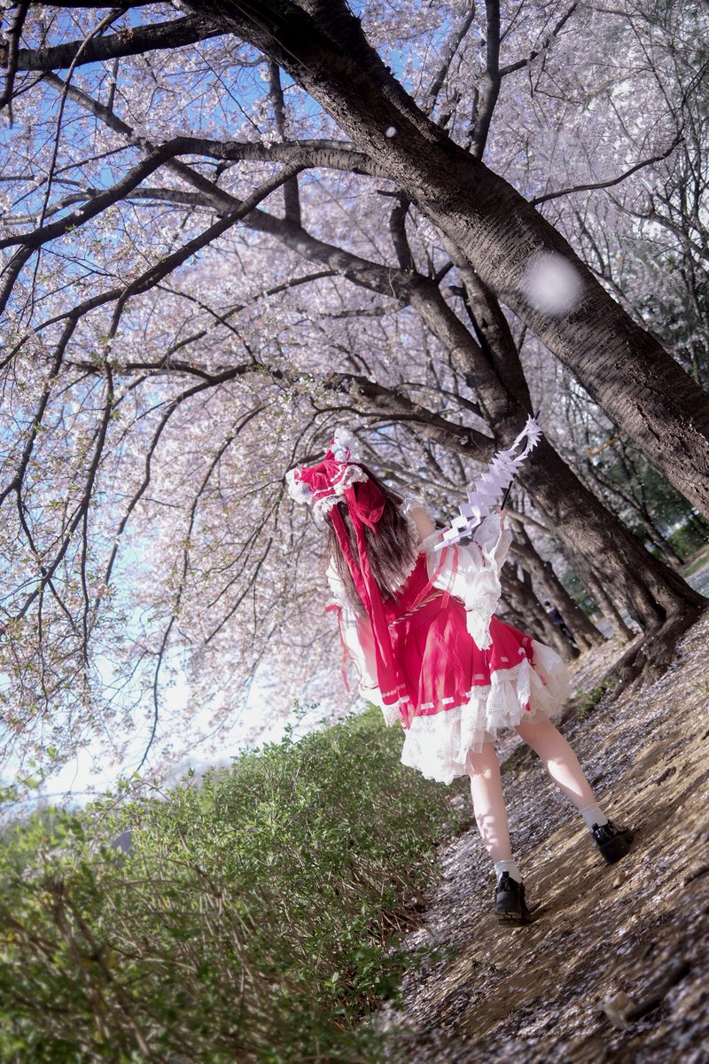 chizzzc's tweet photo. 🌸
東方Project / 博麗霊夢 cosplay https://t.co/Vihd5vvmmI