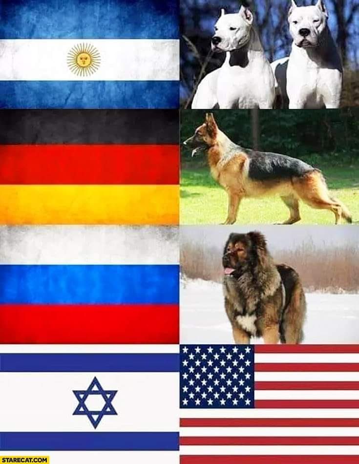 A few countries and their dogs