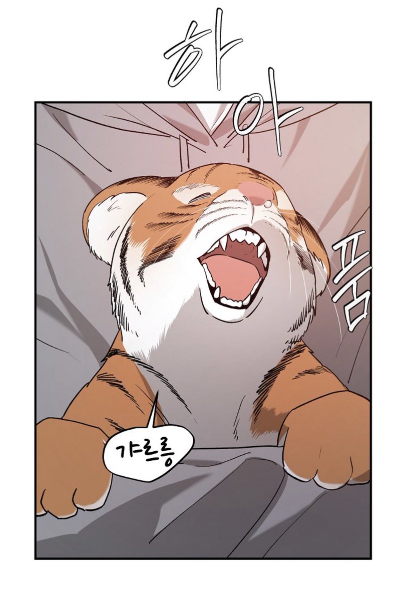 캄피트 tweet media