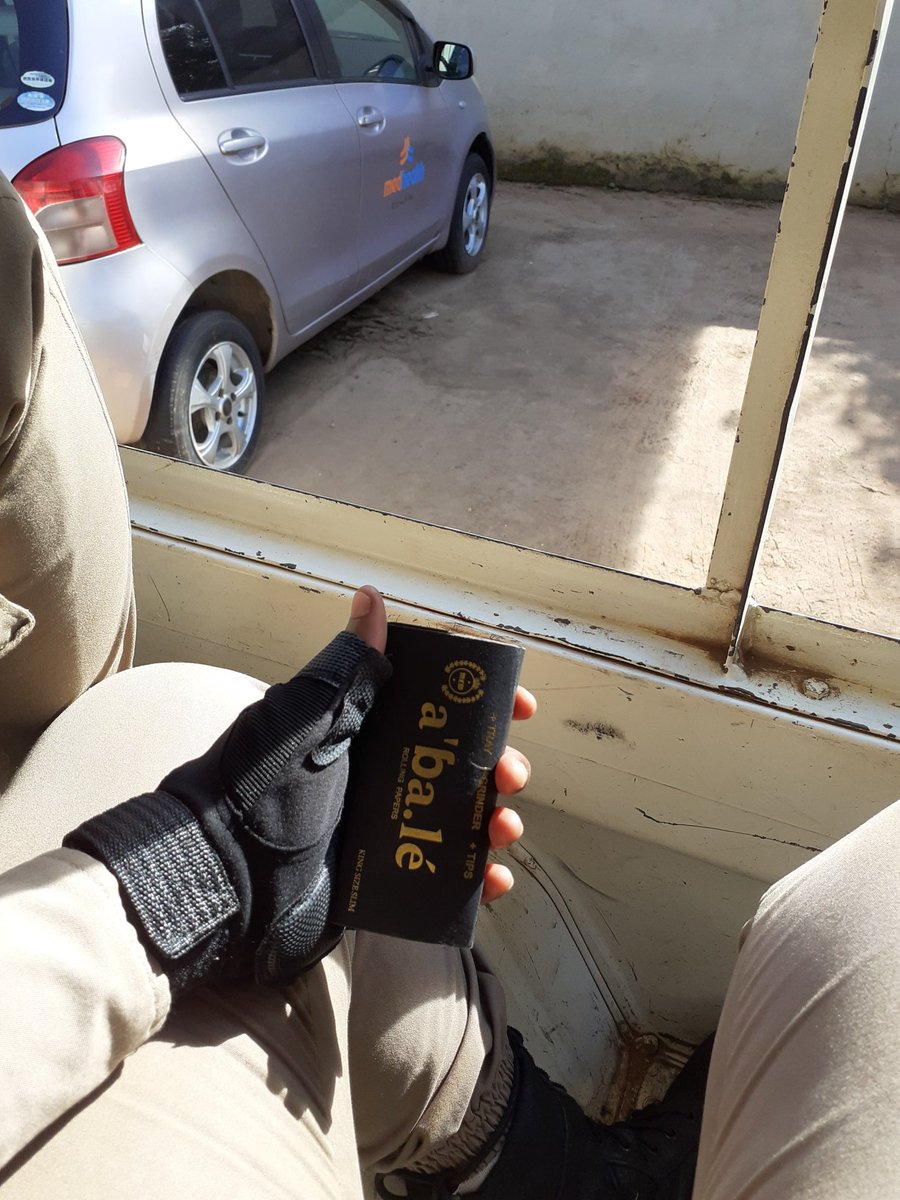 Wathu💚🍄 tweet media