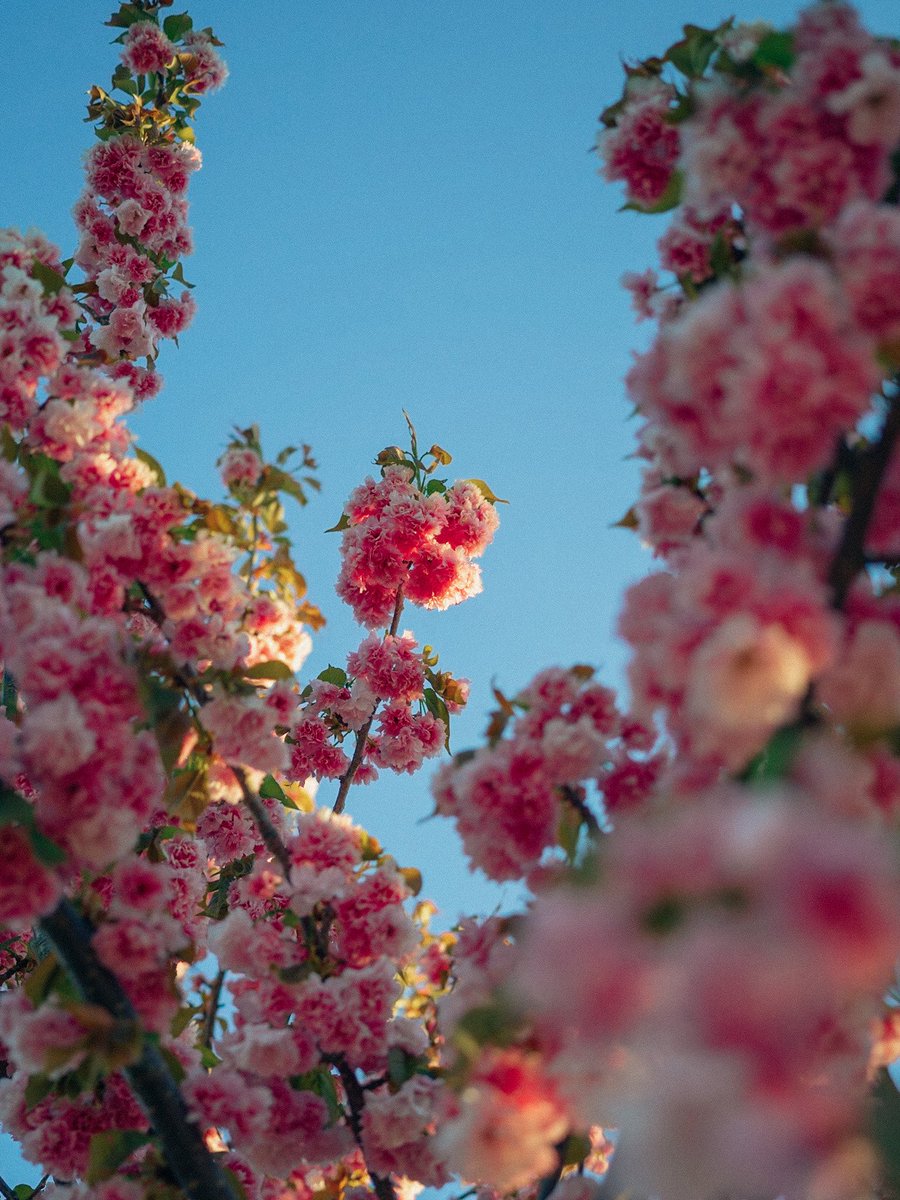 Nevin Johnson tweet media