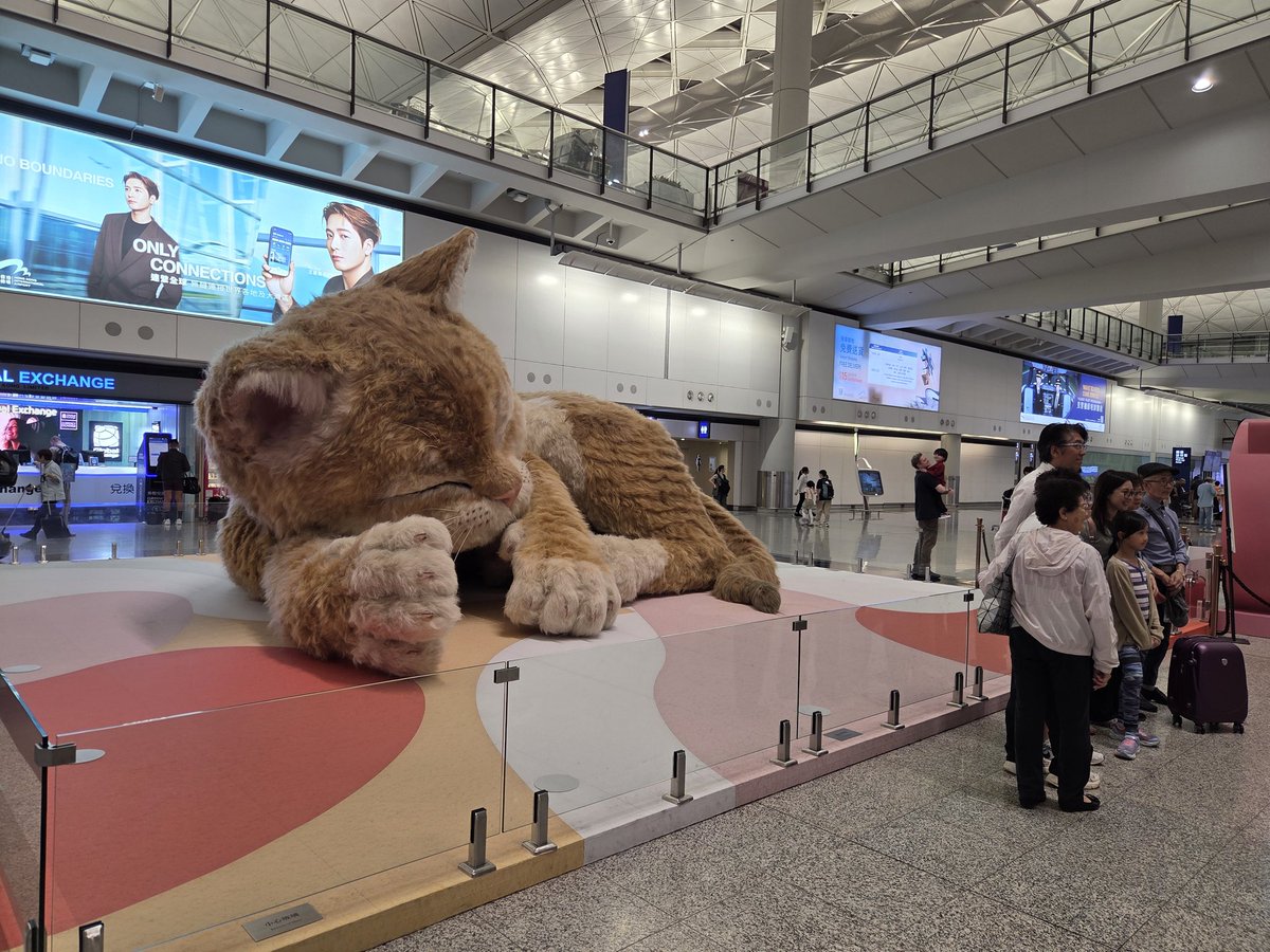 motorzooltd's tweet photo. 香港２日ぶり
香港国際空港の便所の香りで
香港を実感する。良い匂い。 https://t.co/OKMJqtC0eY