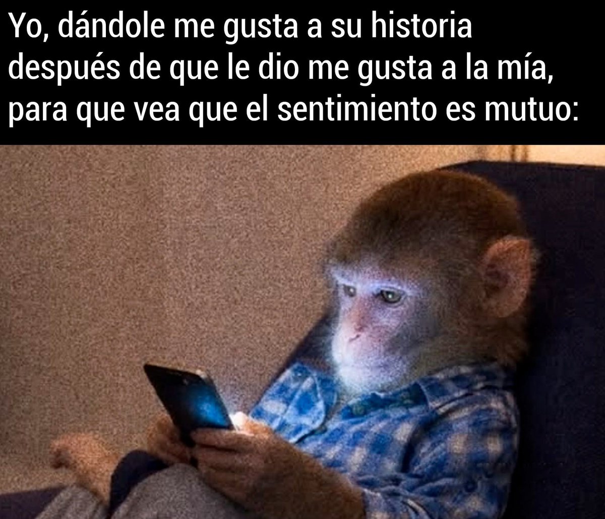 @manuelbobradorista tweet media