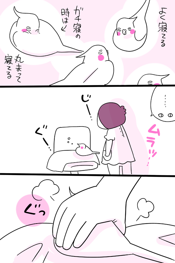 dollchka's tweet photo. 外で見る鳥の人たちは機敏で用心深くてほとんど触れないけど
家に居る鳥っこのこの警戒心のなさというか…ｗ信頼されすぎてて、改心するモンスターの気持ちになるよ、いつもｗ
お前食べちゃうぞ出来る大きさなのにな、我らｗ https://t.co/6AtaKZ6hy7