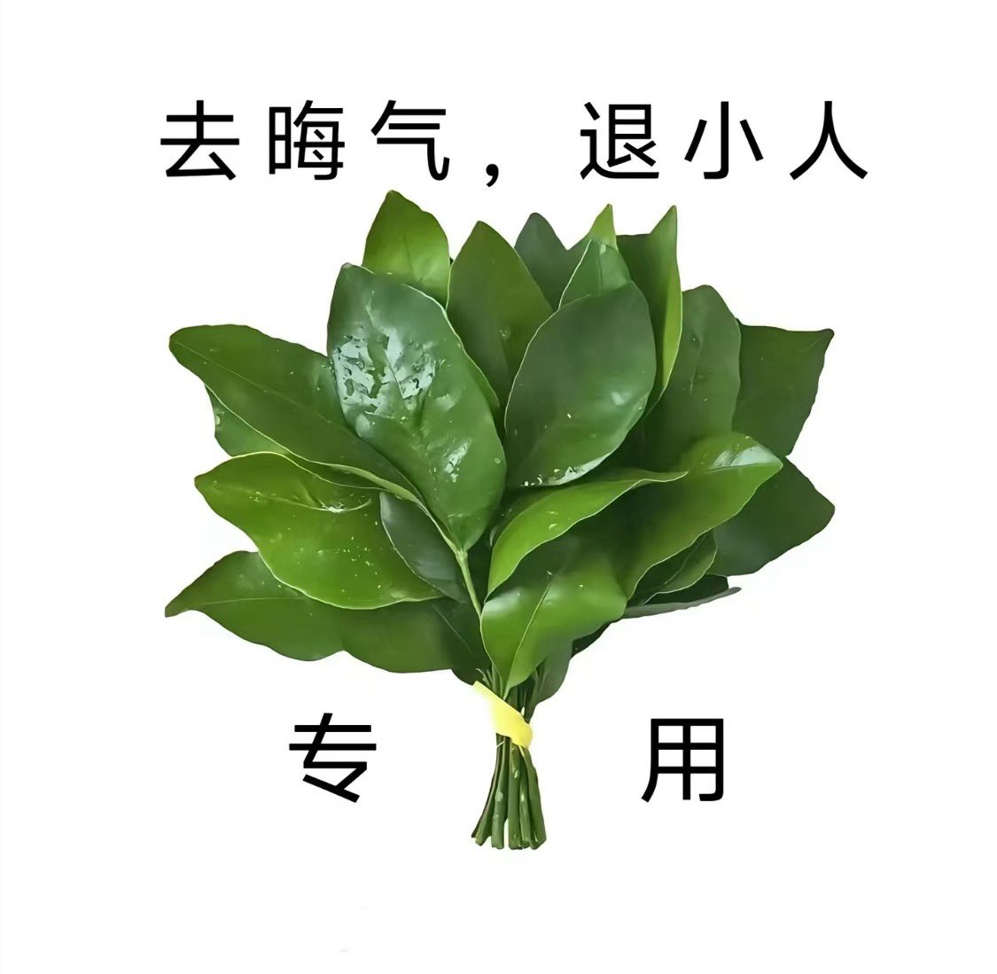 t011122's tweet photo. 别来烦我 https://t.co/5O8urjRs90