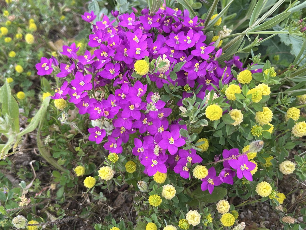 Cunetas con ramos de novia