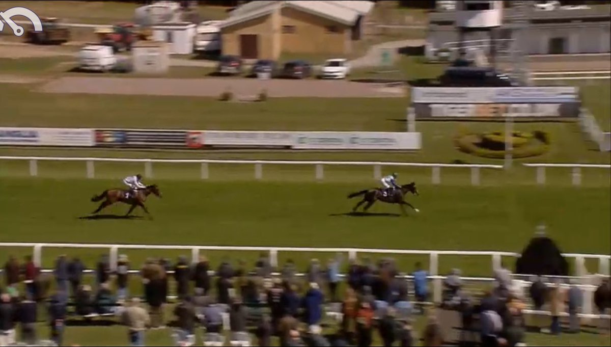 darragh🐎 tweet media