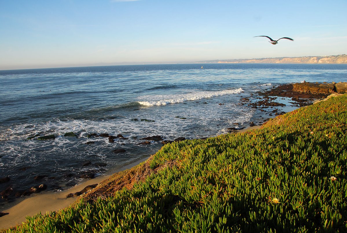 SecretFlying's tweet image. SUMMER: Non-stop from #Chicago to #SanDiego (&amp;amp; vice versa) for only $219 roundtrip with United Airlines #TravelTuesday

secretflying.com/posts/non-stop…