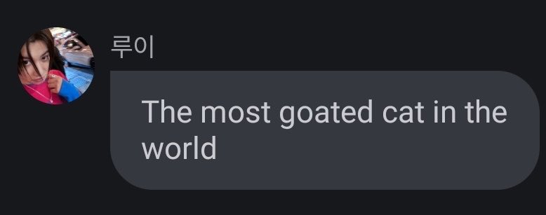 titi ♰ tweet media