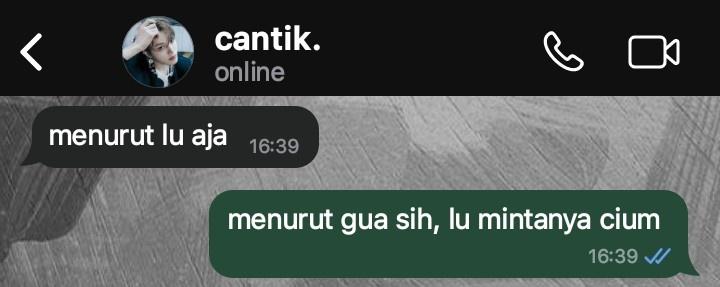 hauna tweet media