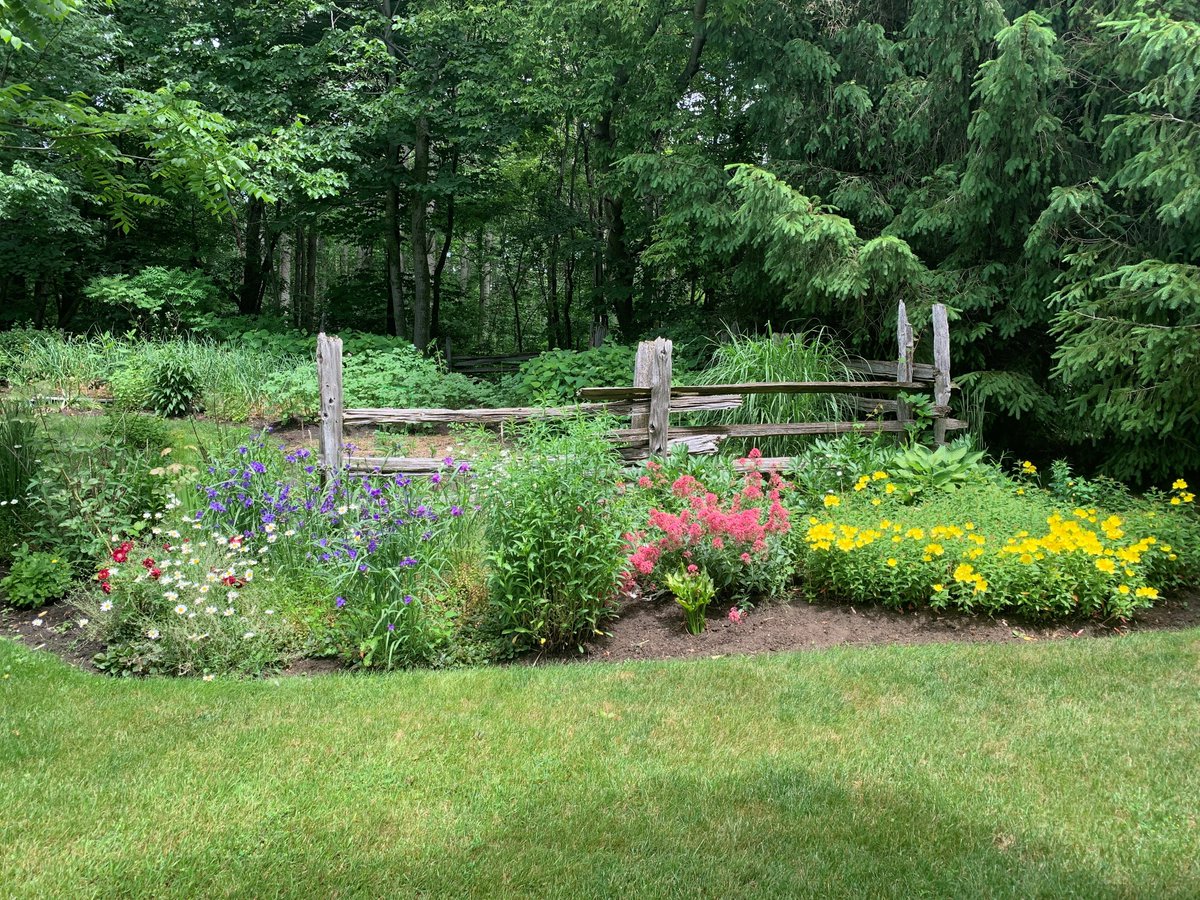 King Township tweet media