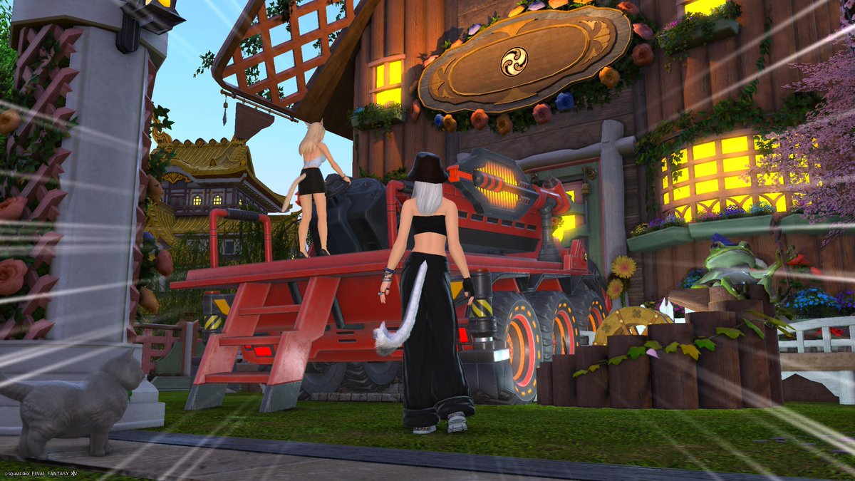 まきᰔᩚ 𝒸ₕₒ𝒸ₒᵦₒ☽🐈‍⬛🐾 tweet media