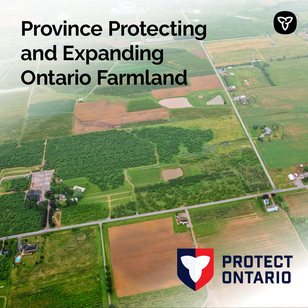 Ontario Agriculture, Food and Agribusiness tweet media