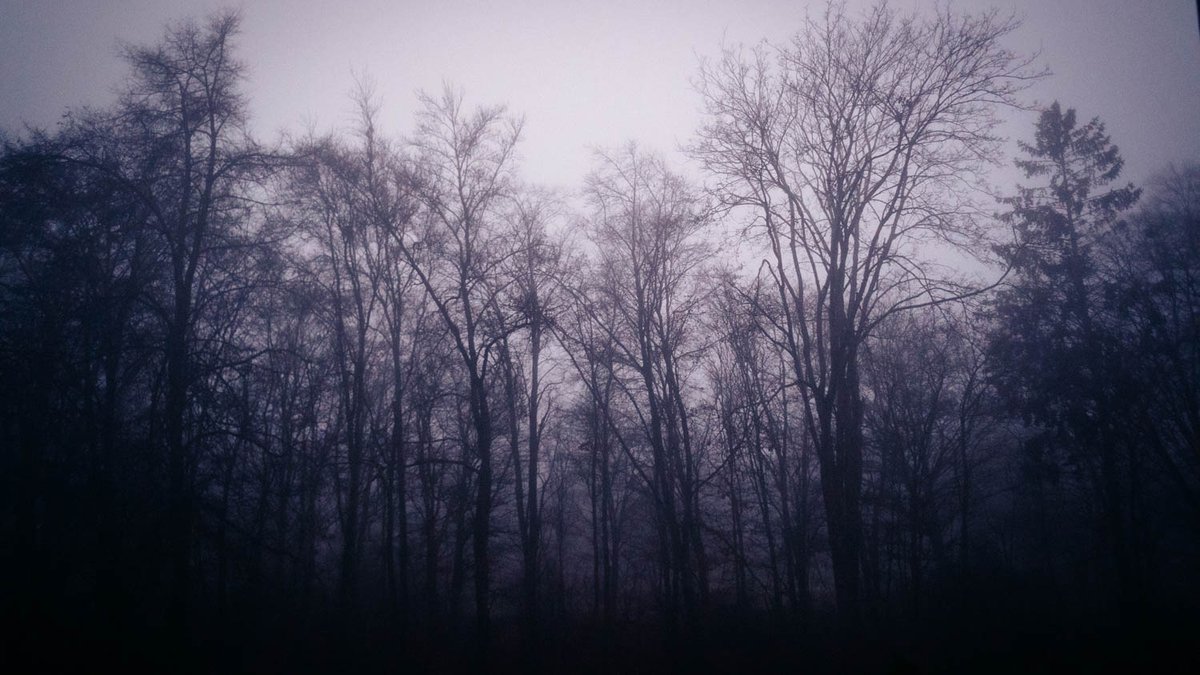 fph_music's tweet image. The Spooky Season. #filminspired #photography #sonyalpha