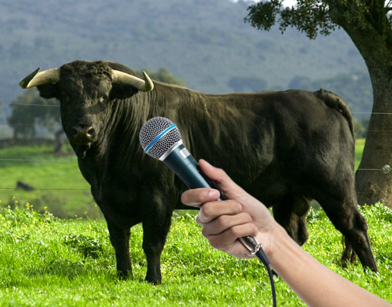 —¿Cuál es su torero favorito?
—Morante, por detrás... y por delante.