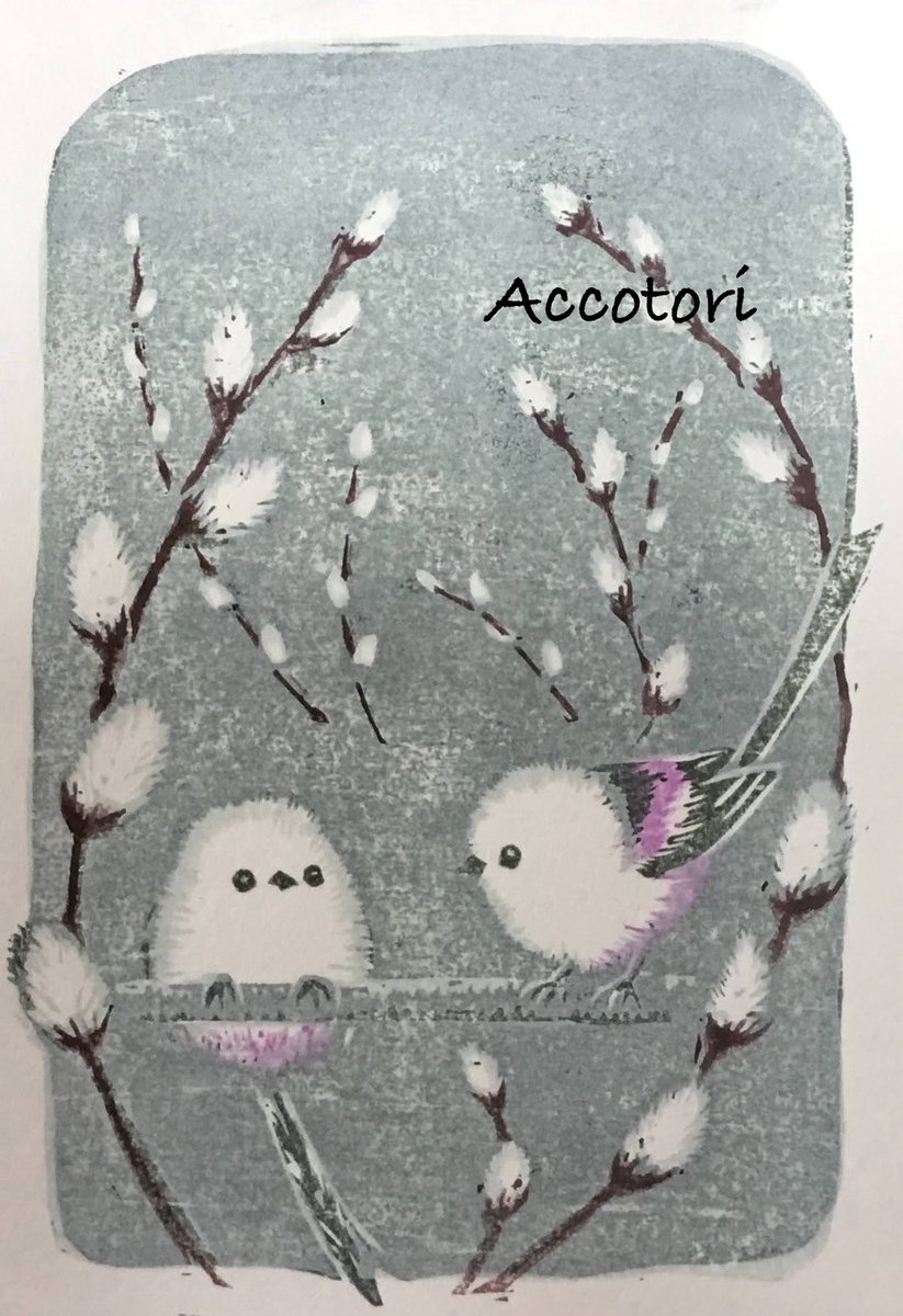 Accotori tweet media