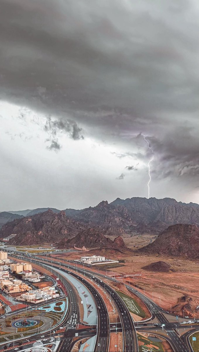 المملكة tweet media