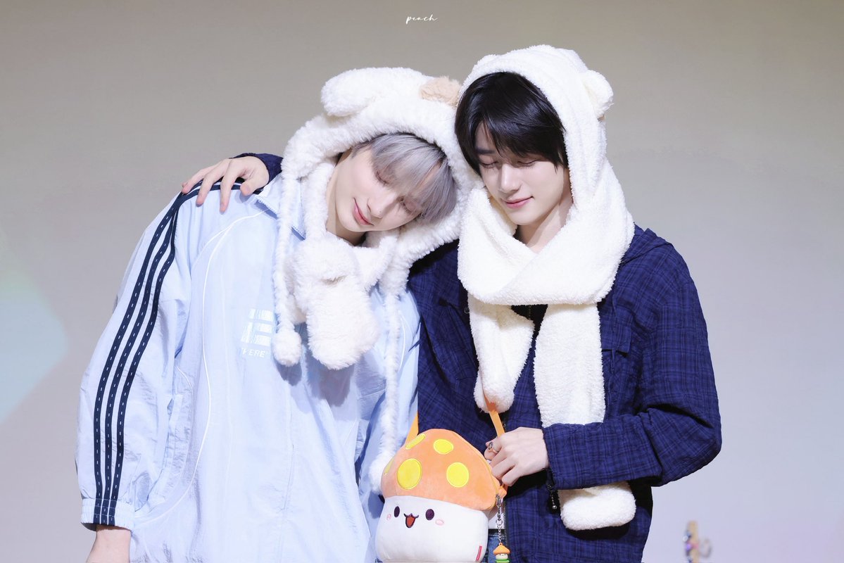 모에모에규 tweet media