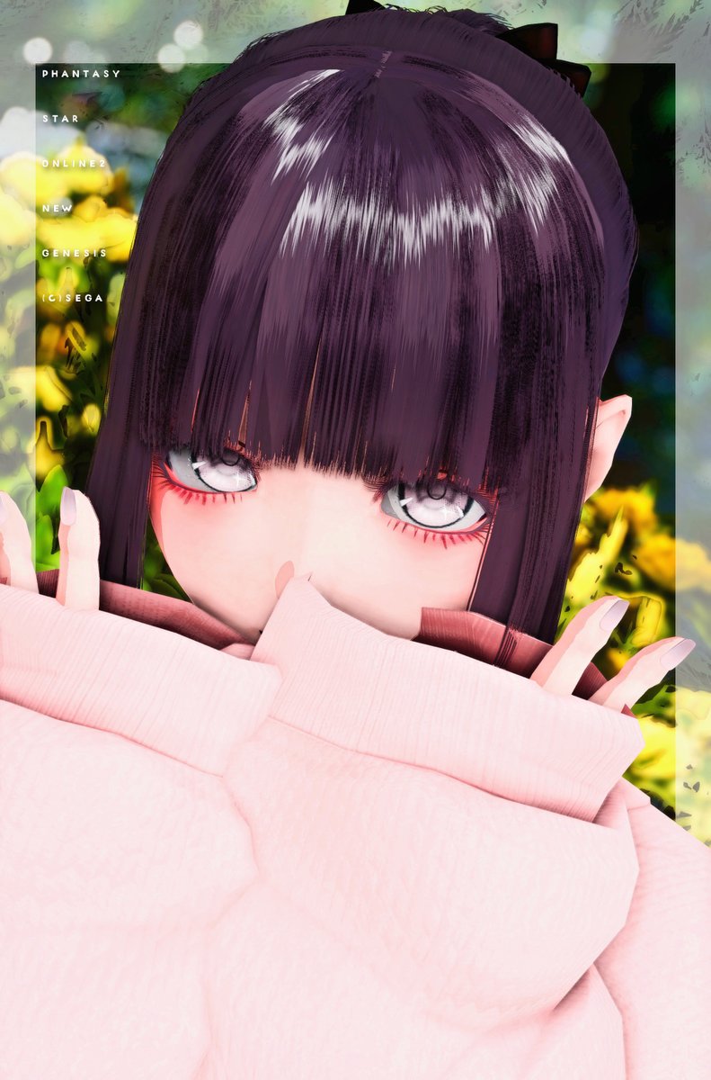 ファンタジーアート　ルス・ホイヤー原案 pso2ngs_ss