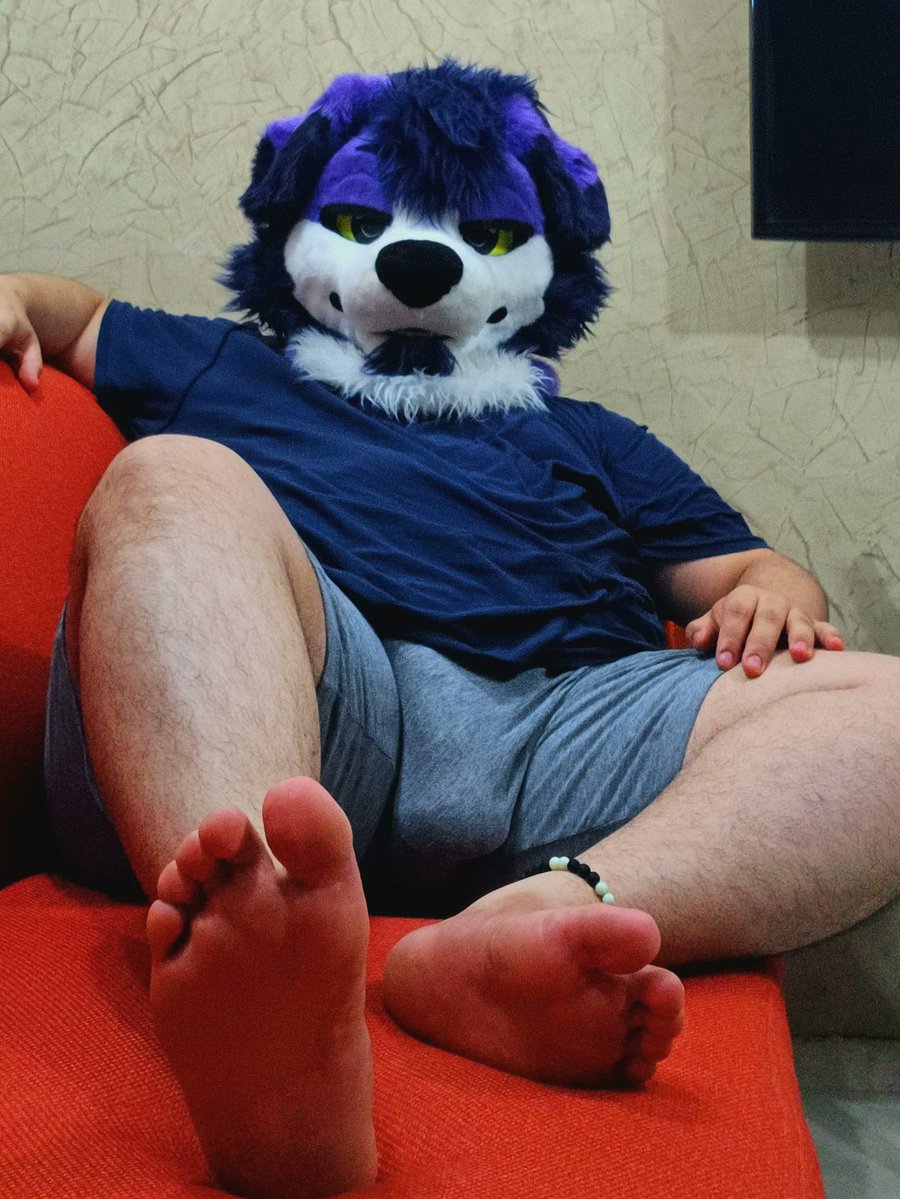Sir Bernán Doggo✨️ tweet media