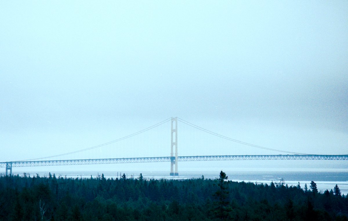 O.W. Root tweet media