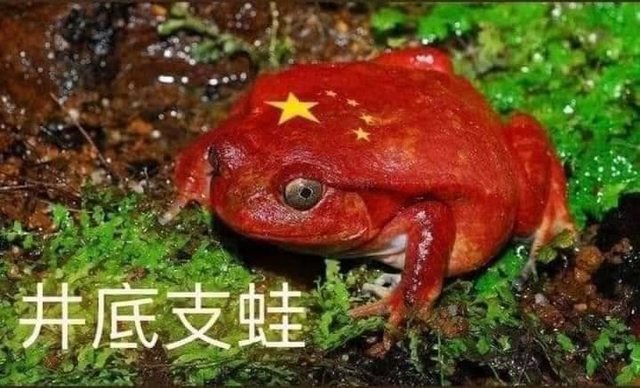达芬奇 tweet media
