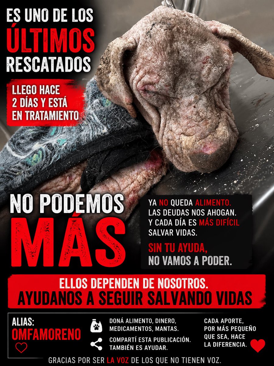 No sabemos cómo seguir solos. Hoy estamos atravesando uno de los momentos más duros. Ya no queda alimento, las deudas nos ahogan y cada día se hace más difícil sostener a tantos animales que dependen de nosotros para vivir.
📍Alias Mercado Pago: Omfamoreno