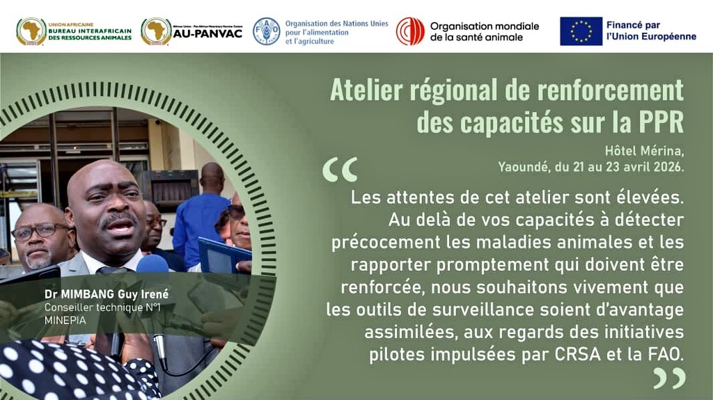 FAOCameroun's tweet image. 🔎 Renforcer la surveillance et l’éradication de la #PPR d’ici 2030  

📊 Pour @minepiacameroun, il s’agit également d’engager la promptitude et l’exactitude des données en temps réel, afin de protéger durablement les élevages et les moyens de subsistance des communautés rurales.