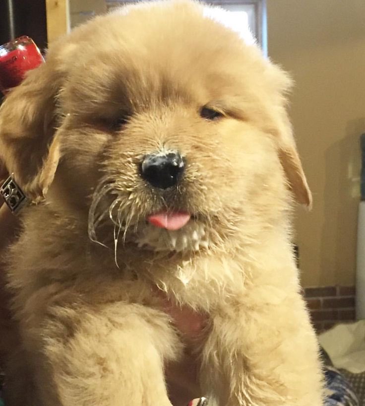 takemybear 🐶 tweet media