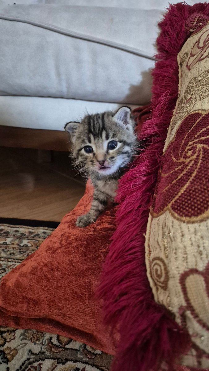 Uncle Ney tweet media