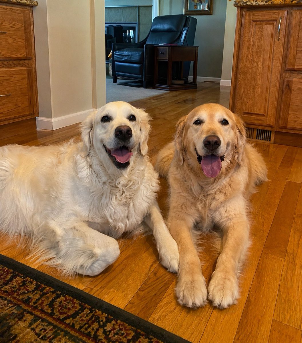 Huckleberry & Holly-berry tweet media
