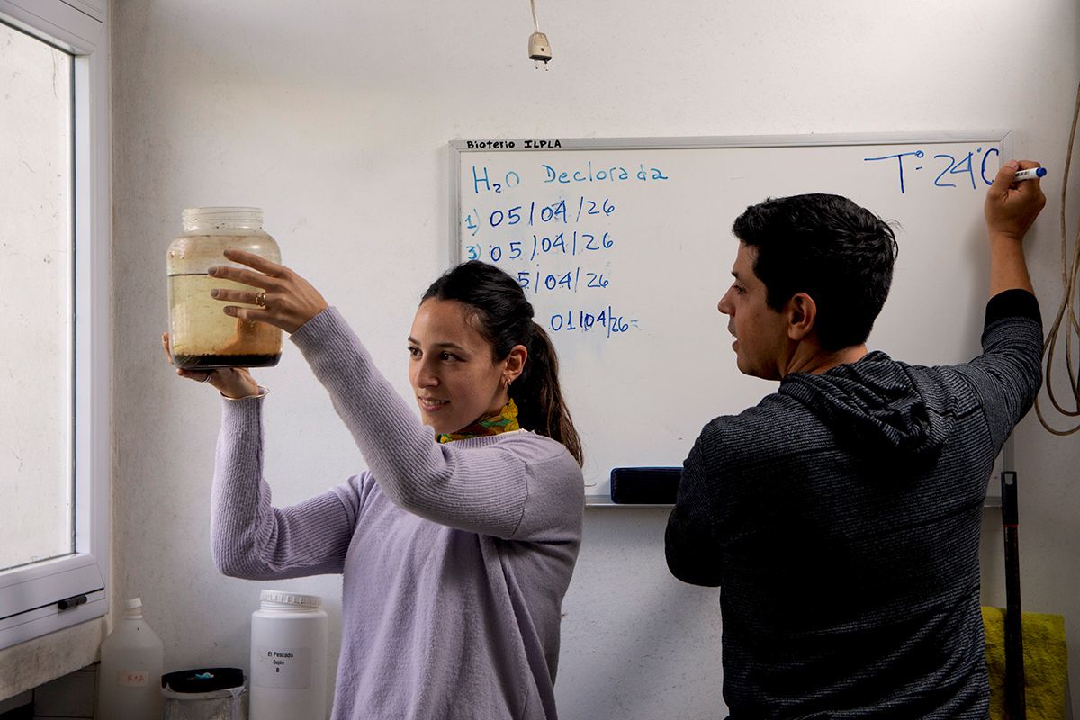 UNLP Investiga tweet media