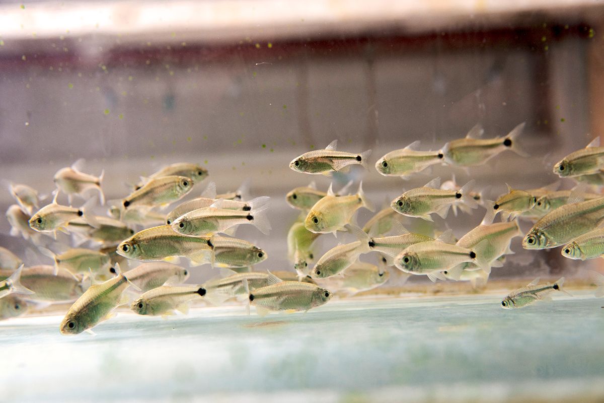 UNLP Investiga tweet media