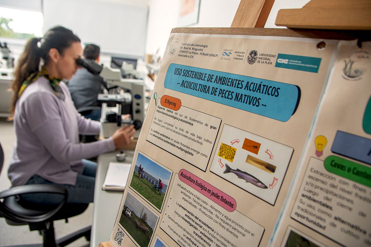 UNLP Investiga tweet media