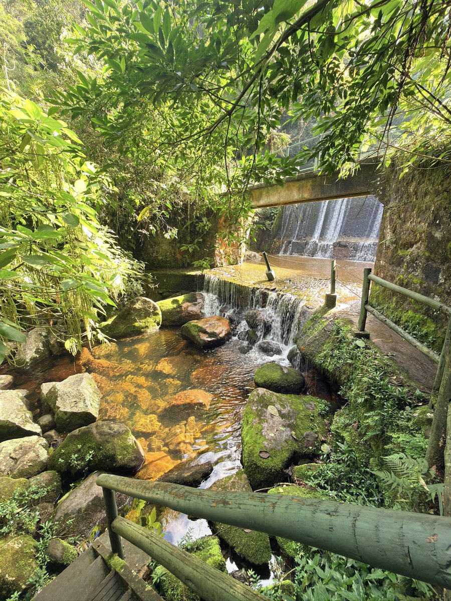 gil***** tweet media