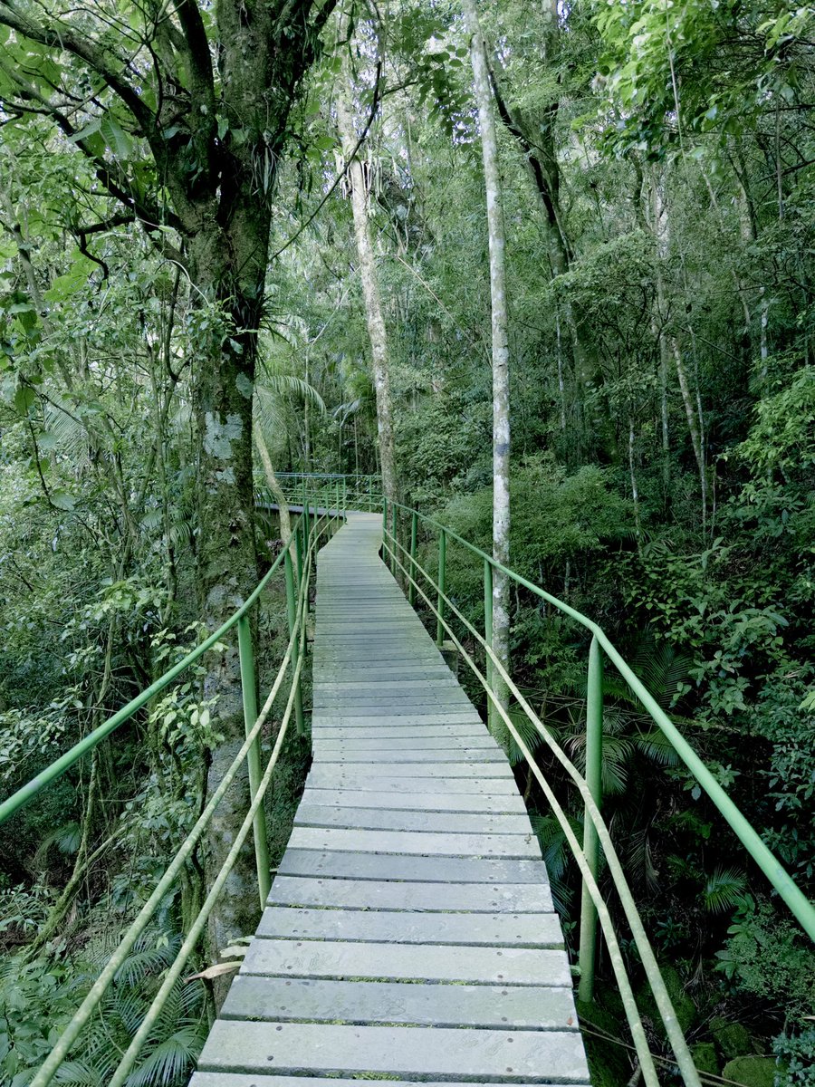 gil***** tweet media