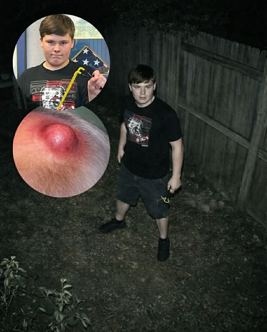 The Husky tweet media