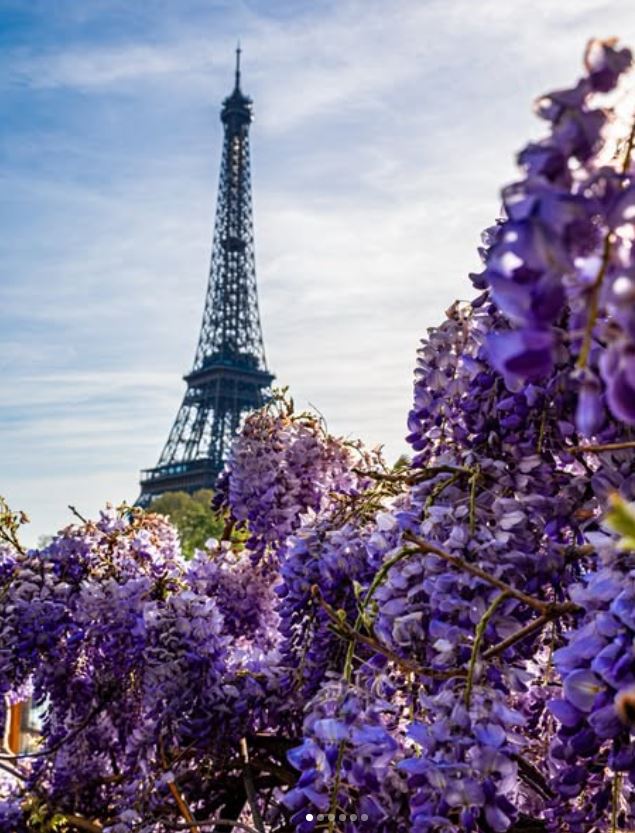 VIParis's tweet image. Springtime Eiffel...#Paris #Flowers #Tuesday #Travel #France #EiffelTower #TuesdayVibe #Parisjetaime 📸 petch77 IG💜💜