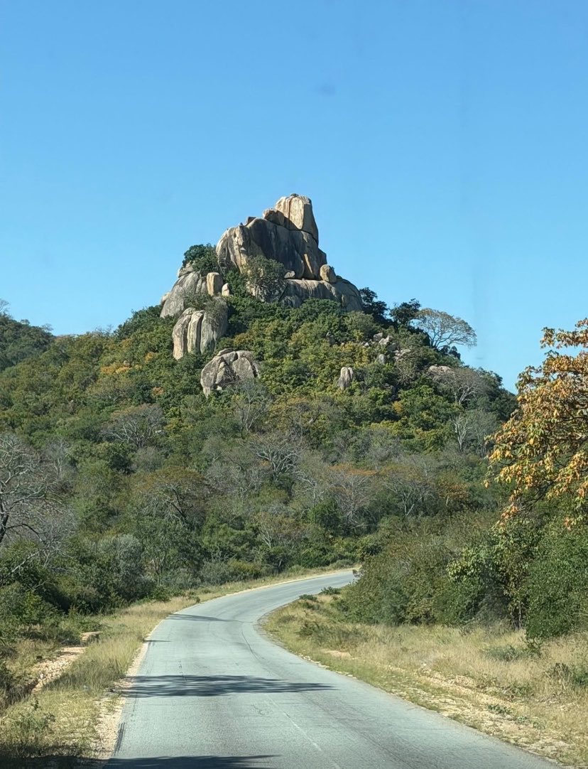 EXPLOREREYES🇿🇼 tweet media