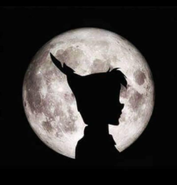 kimi0miki's tweet image. とりあえず並べてみました🖤🌕🎤🖤
#PeterPan    #LouisTomlinson