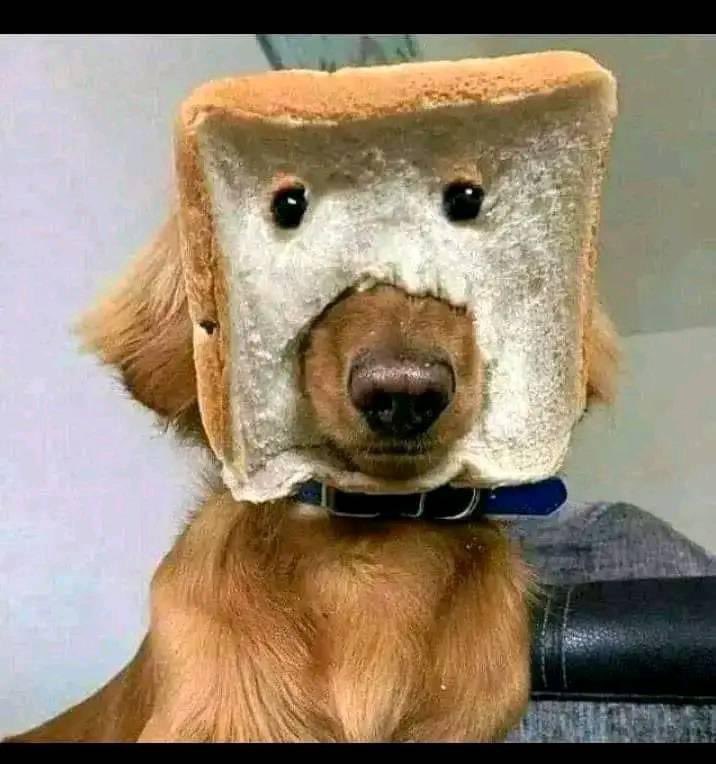 FitnessCustodian🏋️‍♂️ tweet media